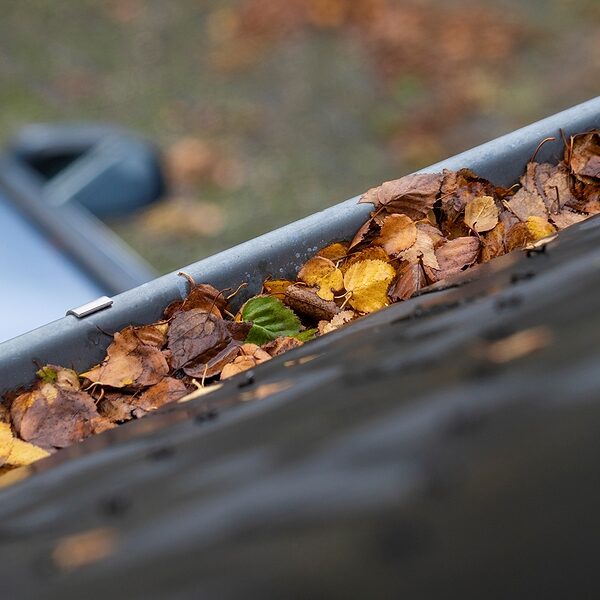 Gutter Cleaning